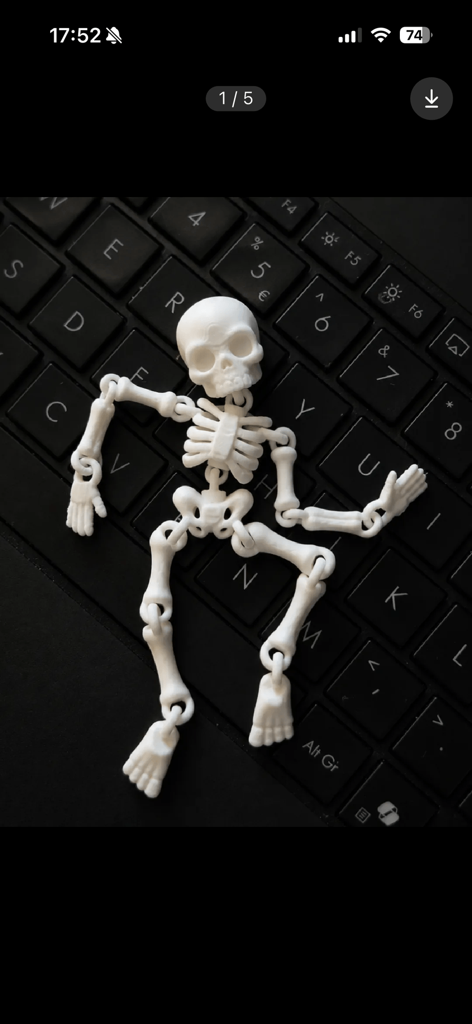 mini flexi kościotrup
