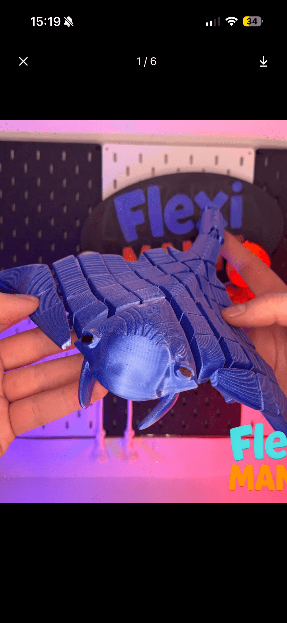 Flexi płaszczka